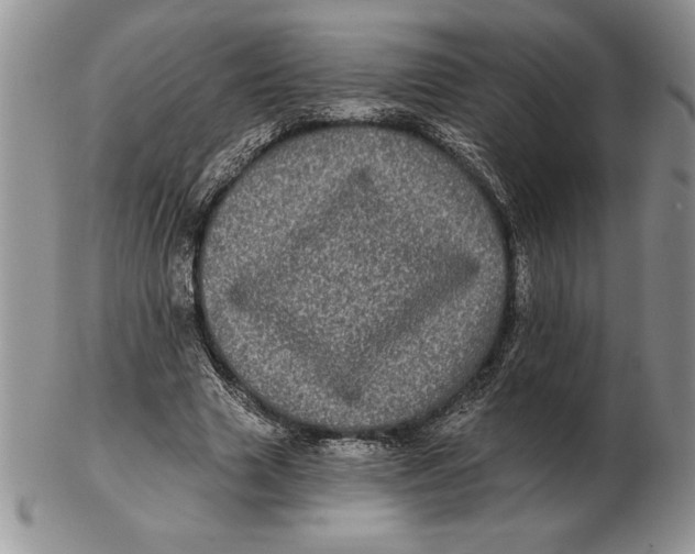 X0000102400633200808221848