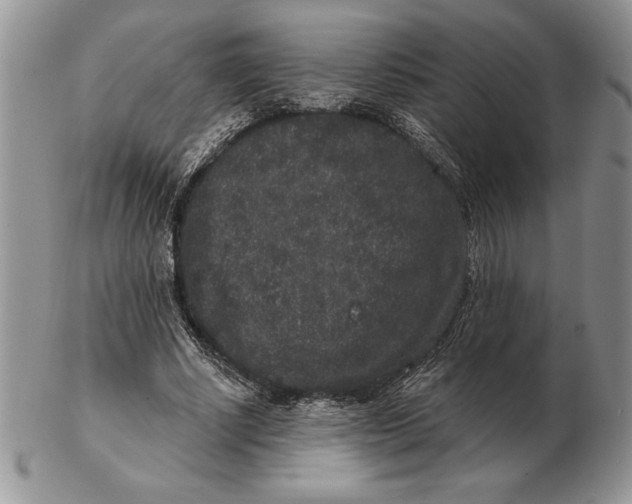 X0000102400634200808221849