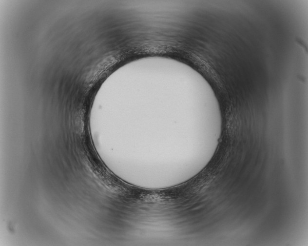 X0000102400635200808221849