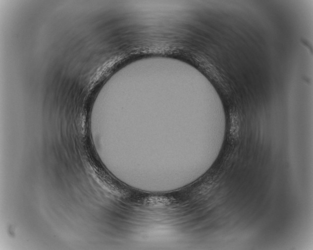 X0000102400636200808221849
