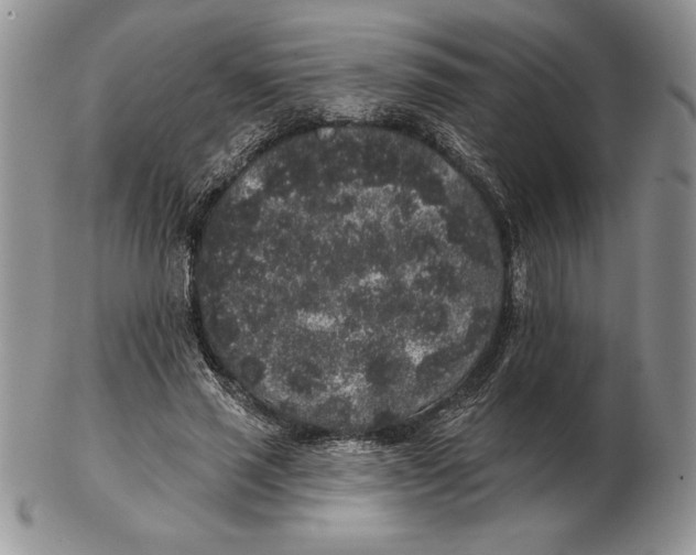 X0000102400637200808221849