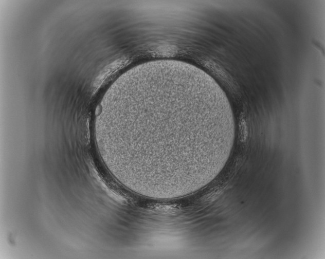 X0000102400638200808221849
