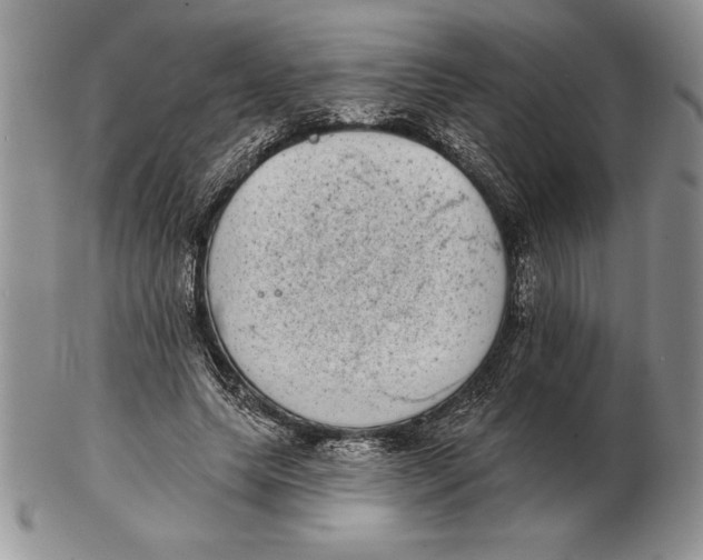 X0000102400639200808221849