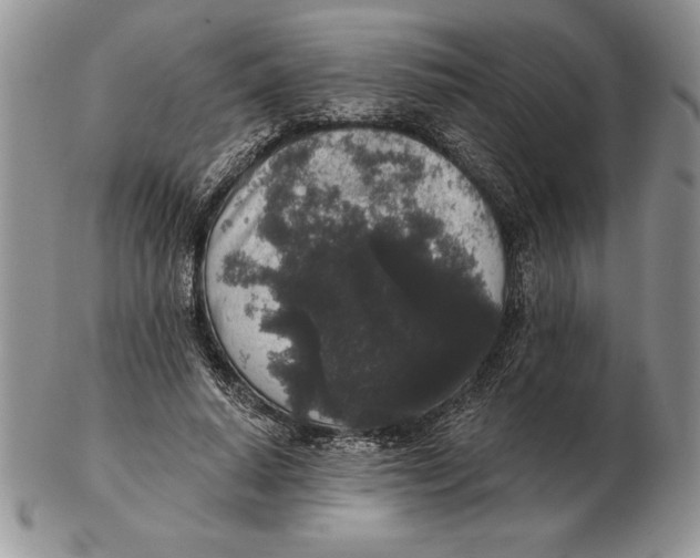 X0000102400640200808221849
