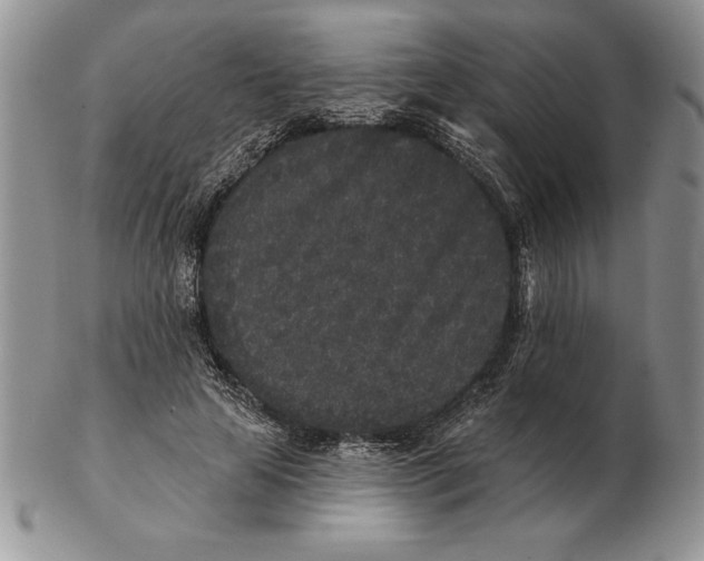 X0000102400641200808221849