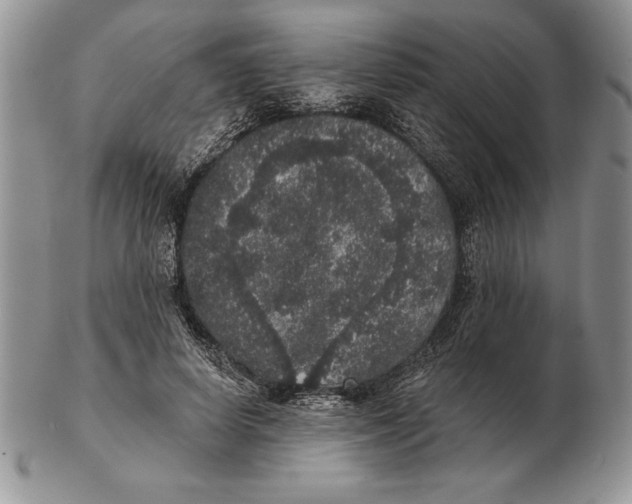 X0000102400642200808221849