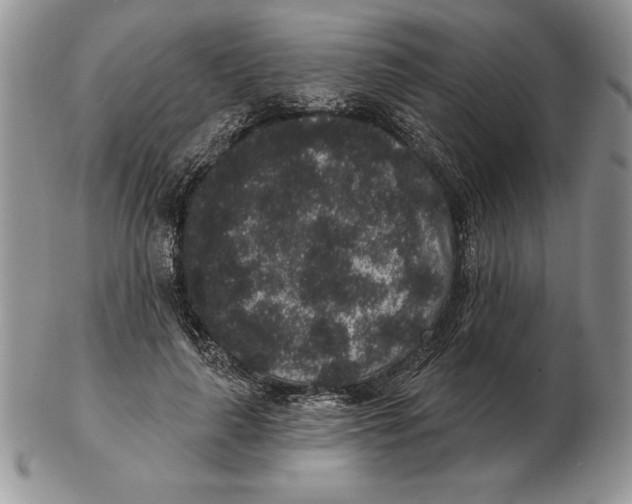 X0000102400643200808221849