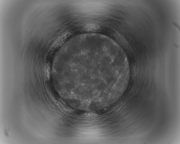 X0000102400644200808221849