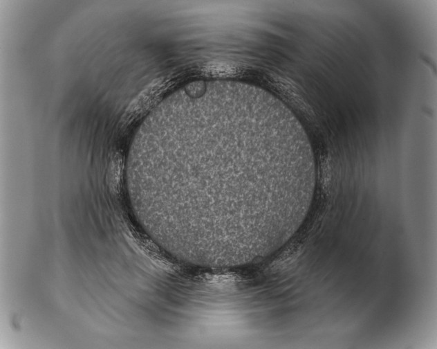 X0000102400645200808221849