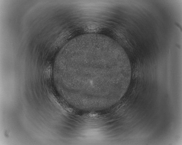 X0000102400647200808221849