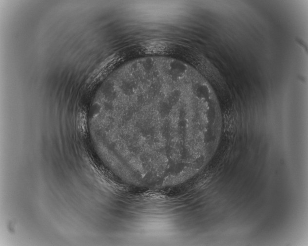 X0000102400648200808221849