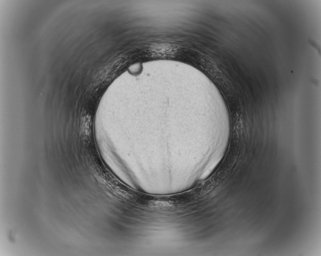 X0000102400649200808221849