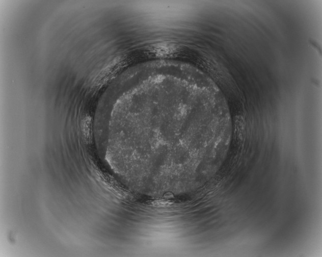 X0000102400650200808221849