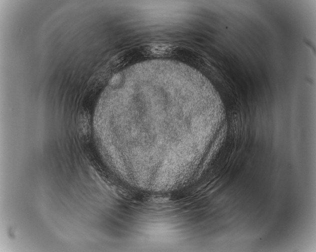 X0000102400651200808221849