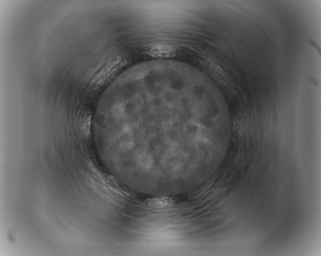 X0000102400652200808221849