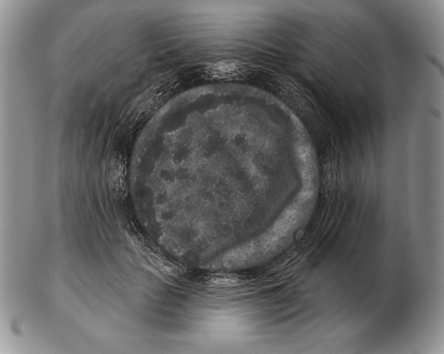 X0000102400653200808221849