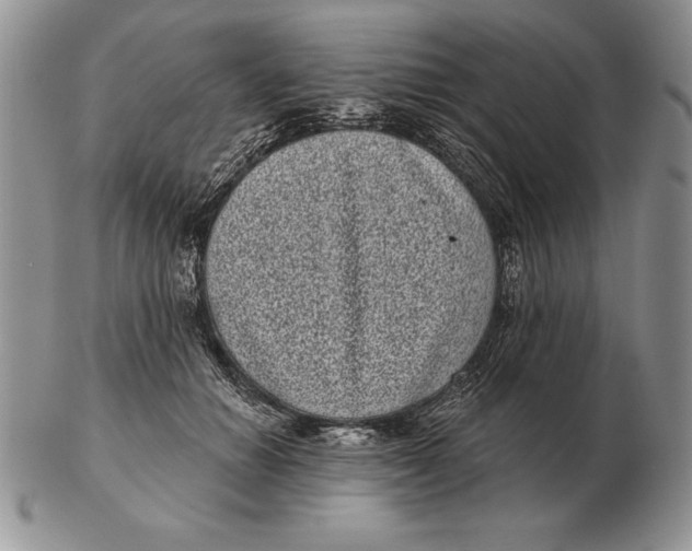 X0000102400654200808221849