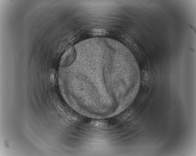 X0000102400655200808221849