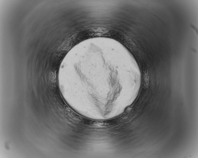 X0000102400657200808221849