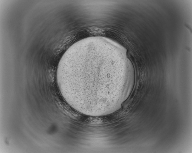 X0000102400658200808221849