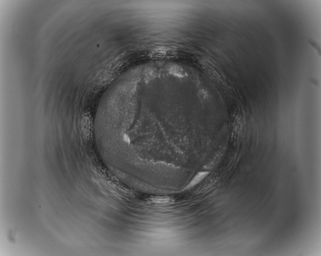 X0000102400659200808221849
