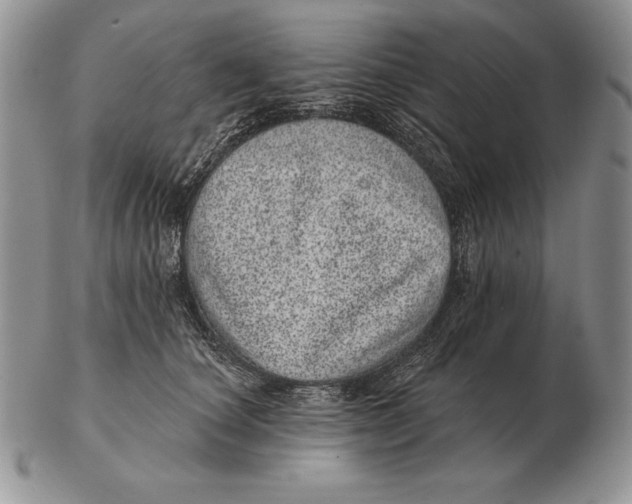 X0000102400660200808221849