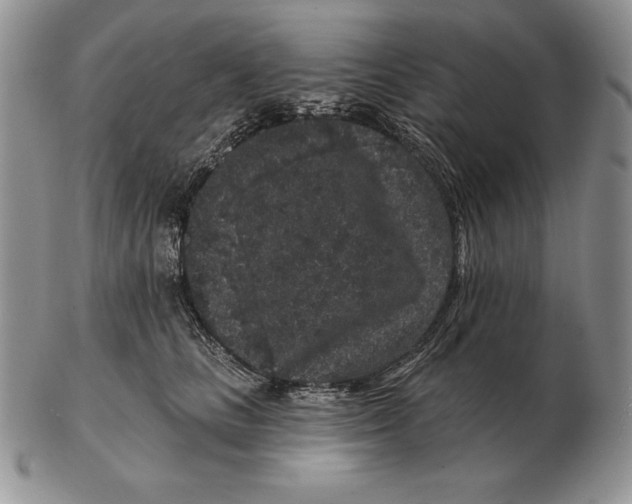 X0000102400661200808221849