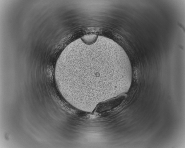 X0000102400662200808221849