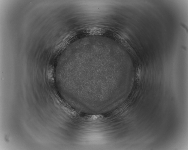 X0000102400663200808221849