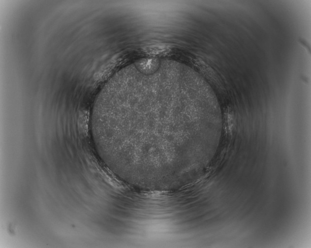 X0000102400664200808221849