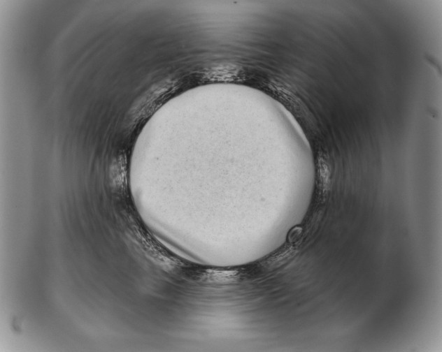 X0000102400665200808221849