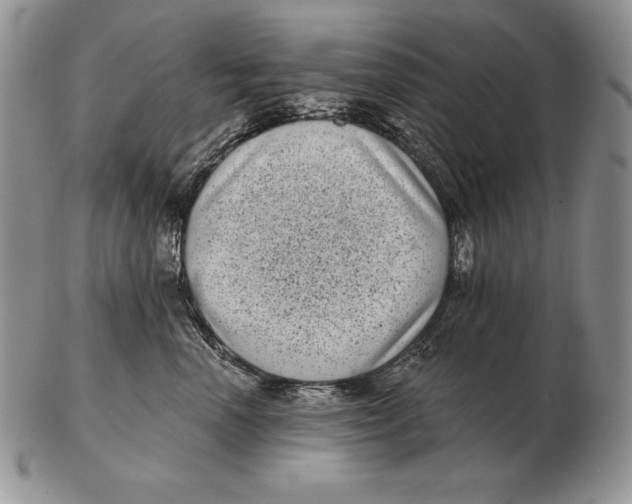 X0000102400666200808221849