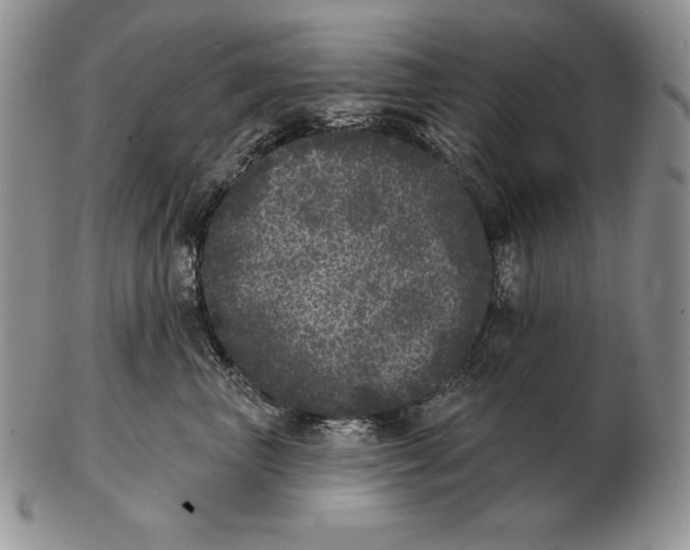 X0000102400667200808221849