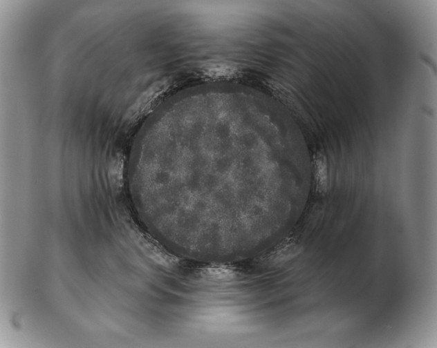 X0000102400668200808221849