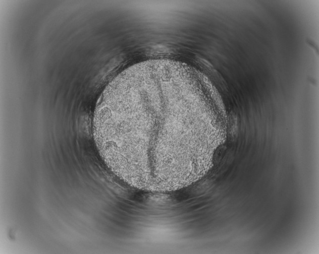 X0000102400669200808221849