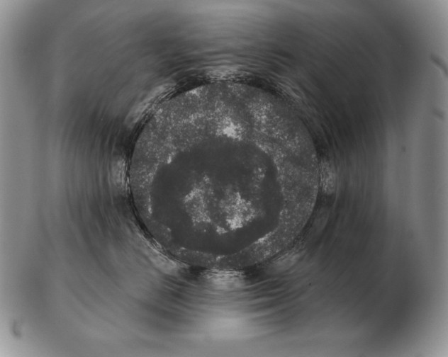 X0000102400670200808221849