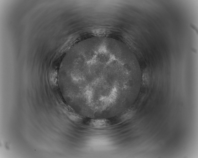 X0000102400671200808221849