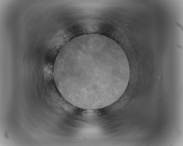 X0000102400672200808221849