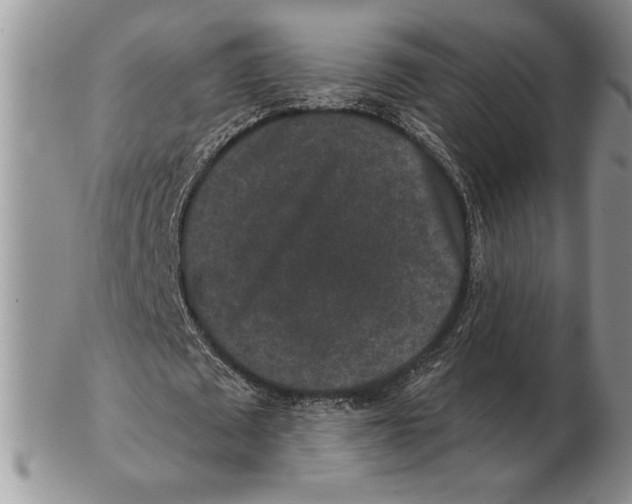 X0000102400673200808221848