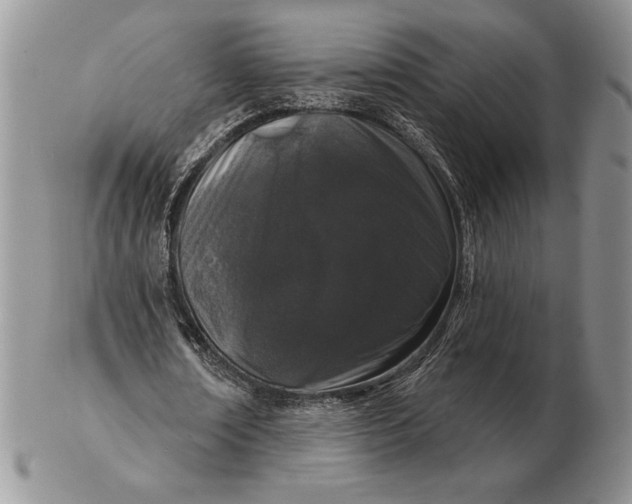 X0000102400674200808221848