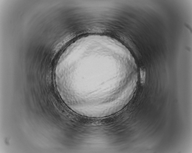 X0000102400675200808221848