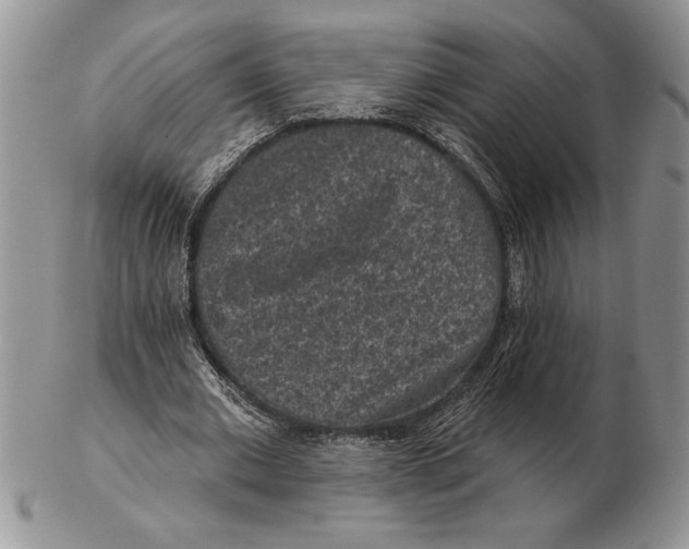 X0000102400677200808221848