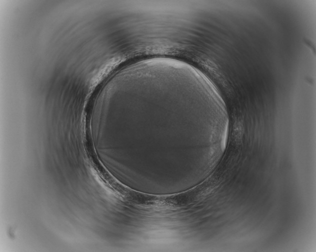 X0000102400678200808221848