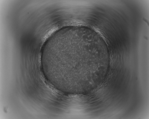X0000102400679200808221848