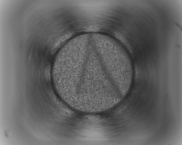 X0000102400681200808221848