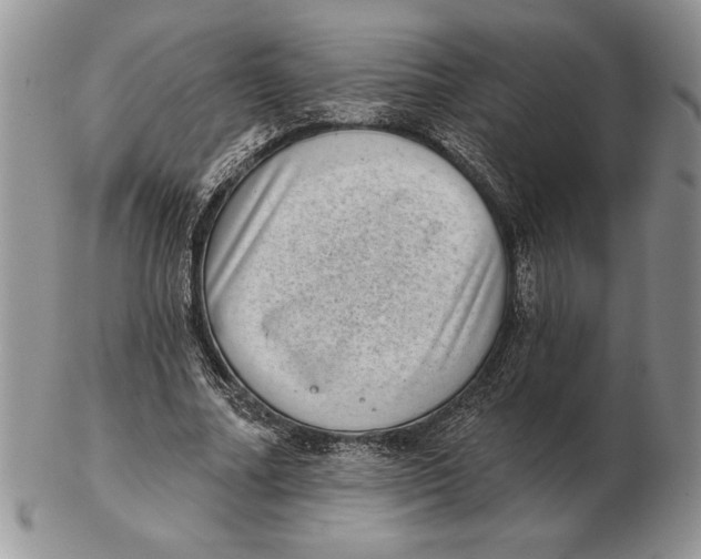 X0000102400682200808221848