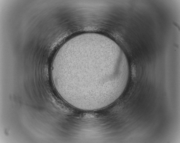 X0000102400684200808221848