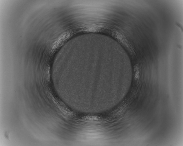 X0000102400685200808221848