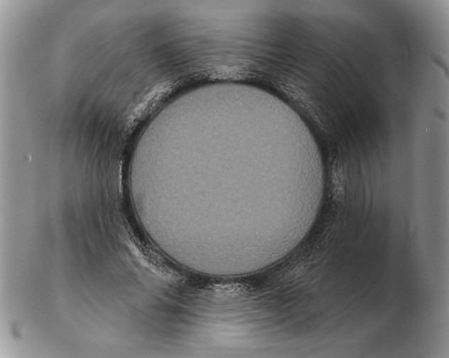 X0000102400686200808221848