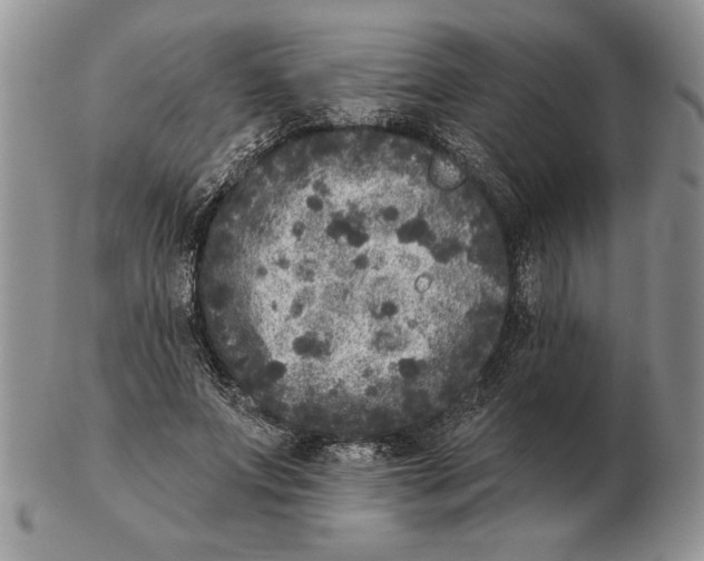 X0000102400687200808221848